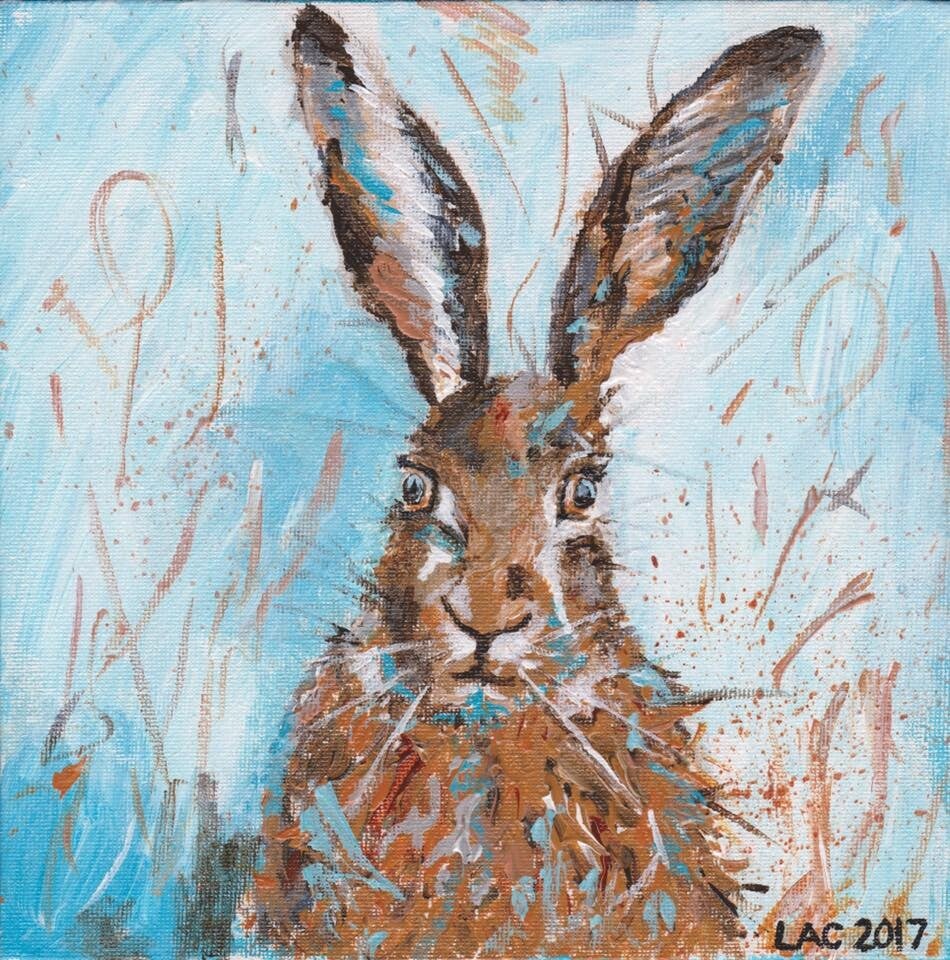 hare-standard-9gpyyq.jpg