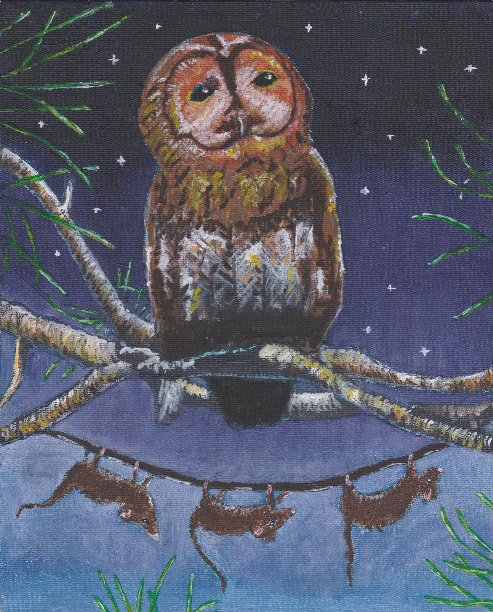 owl-standard-ssv79e.jpg