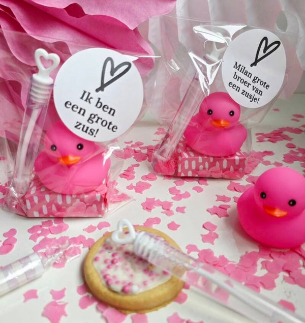 Geboorte Traktatie Zusje Badeend | School & KDV | Kant-en-klaar
