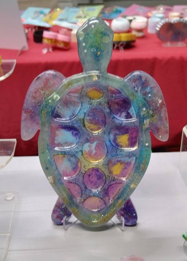 Schale Schildkröte