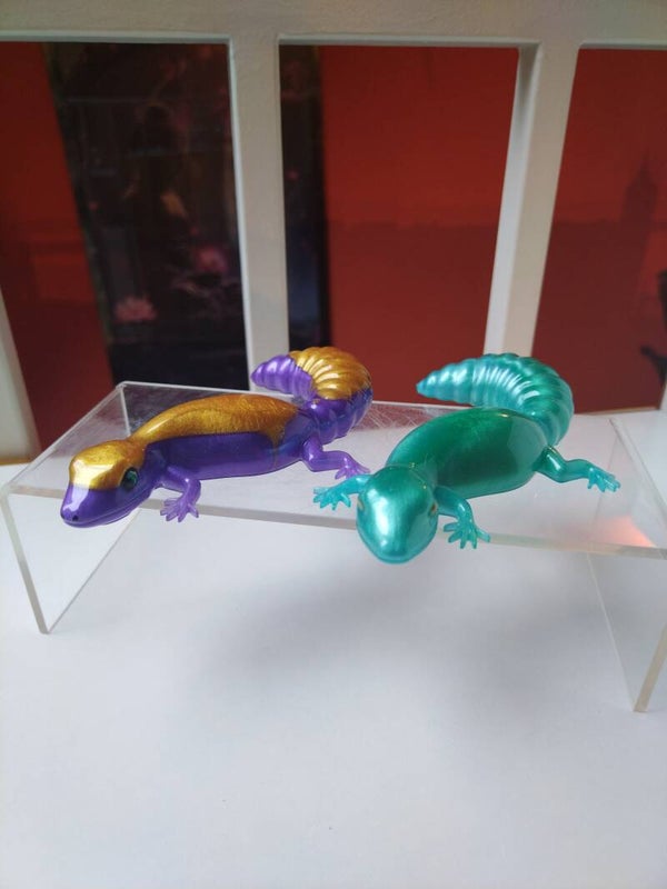 Gecko