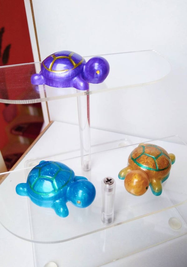 Kleine Schildkröte