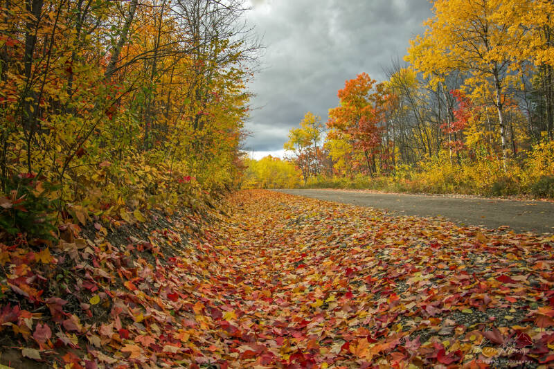 1-autumn-road-standard-mch0dl.jpg