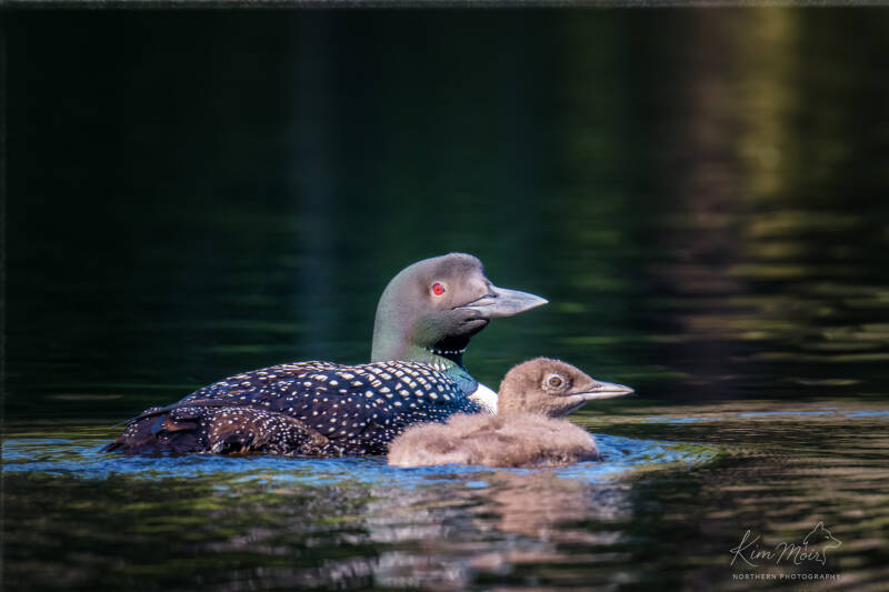 11-dsc_3196-2022-baby-and-mom-standard-tg7s44.jpg
