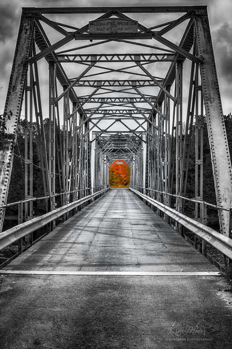 4-imgp1817-autumn-at-the-end-of-the-tunnel-standard-an6h09.jpg