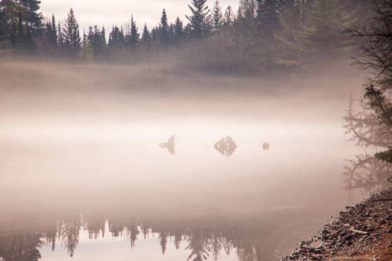 4-imgp3667-past-camp-morning-fog-standard-8sxvg6.jpg