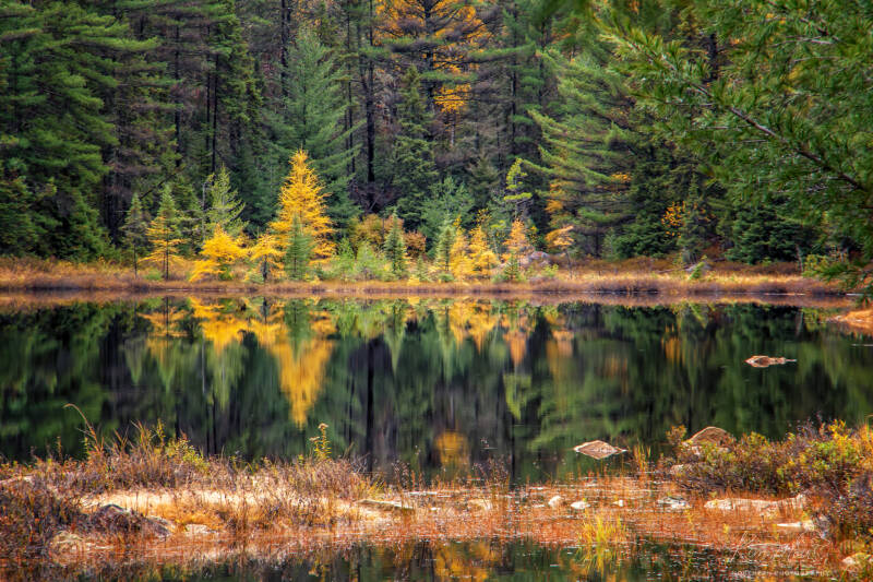 6-imgp2030-oc-reflections-of-fall-standard-nfeoxf.jpg