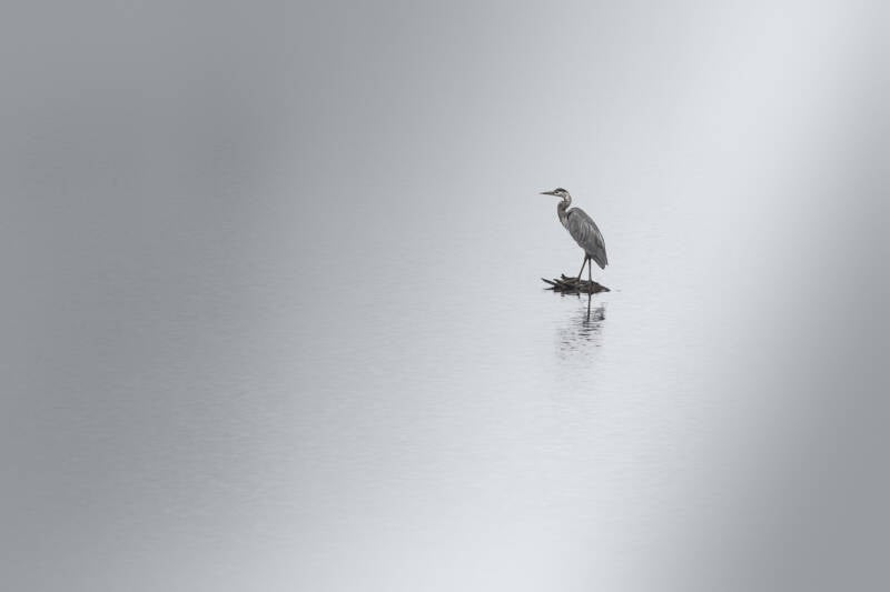 6-imgp2644-gbh-negative-space-standard-kvq2ro.jpg