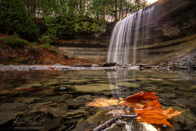 bridal-veil-falls-with-leaf-standard-xx82gy.jpg