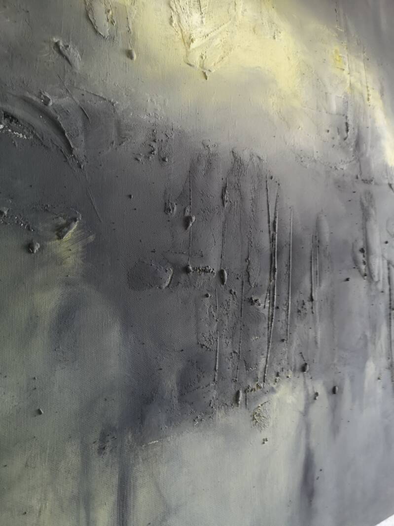 Goldenrod 	Goldrute 	Solidago 	Solidago