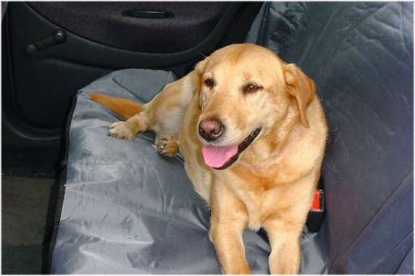 BZ Autodeken Universeel 110x 130