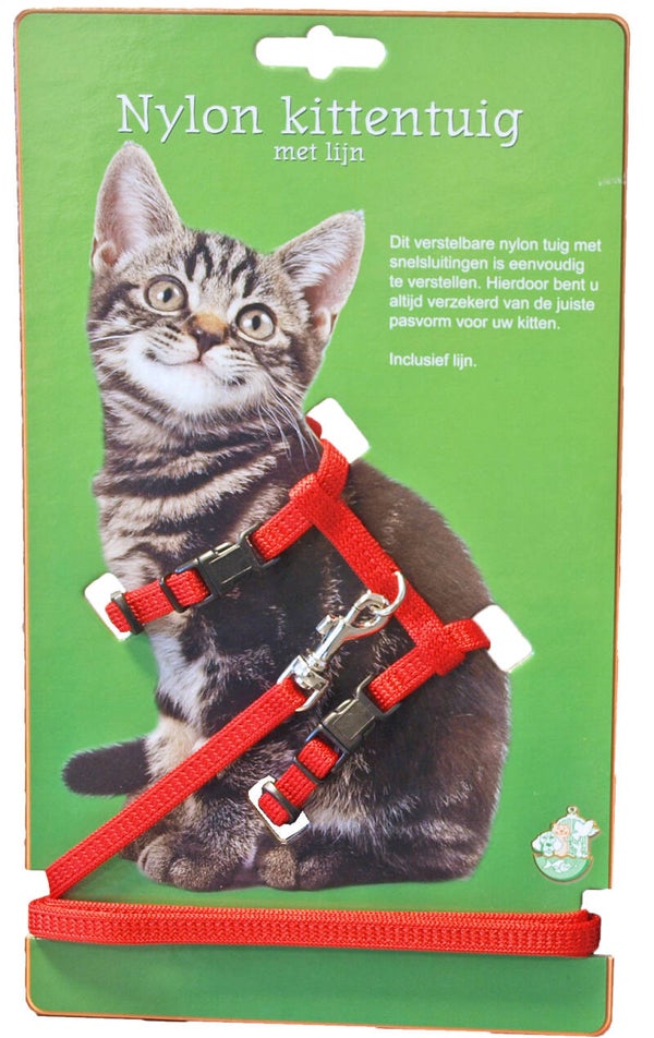 Nylon kittentuig met lijn - rood