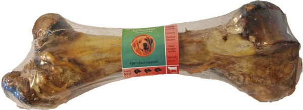 Runderdinobot     XL ca. 50cm.