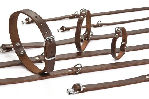 BZ Lederen Halsband Bruin (div. maten)