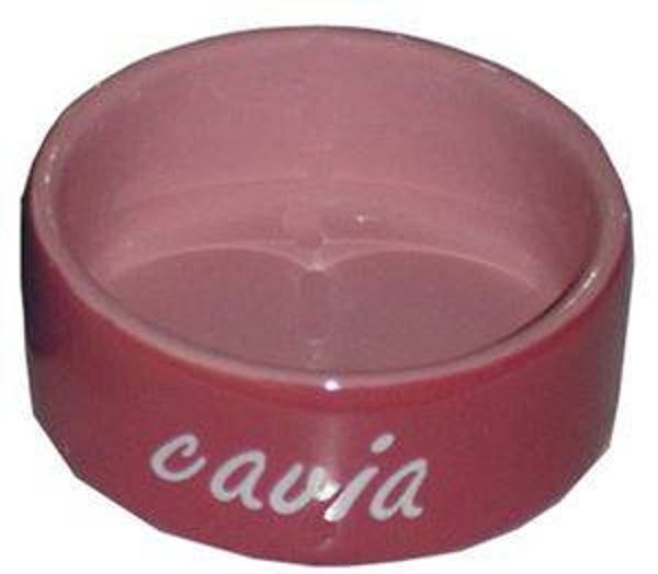 Cavia Eetbak Steen Roze