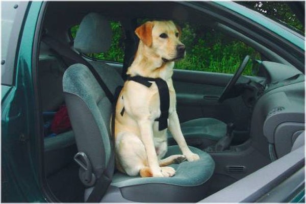 Autogordel los (div. maten)