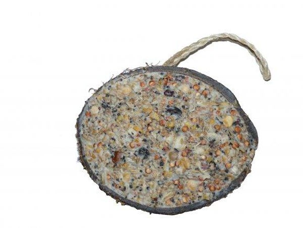 Cocosnoot met vet en zaden