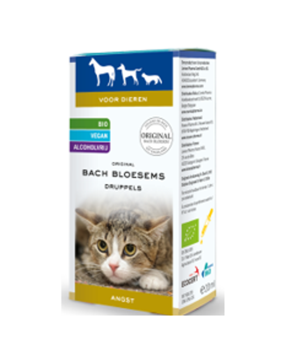 Frama Bach Bloesem Angst 20ml.