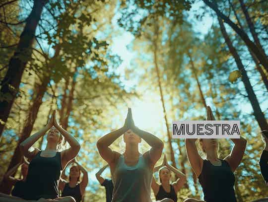 Motivación PPT 13