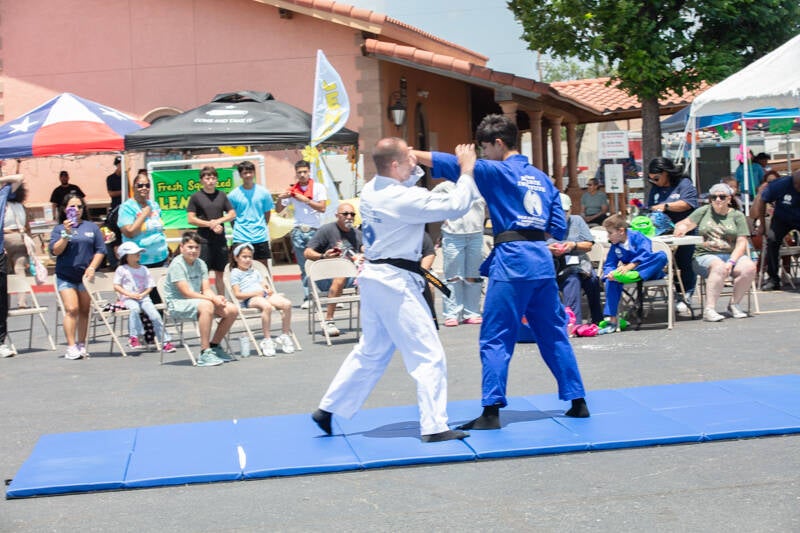 ff-193-standard.jpg