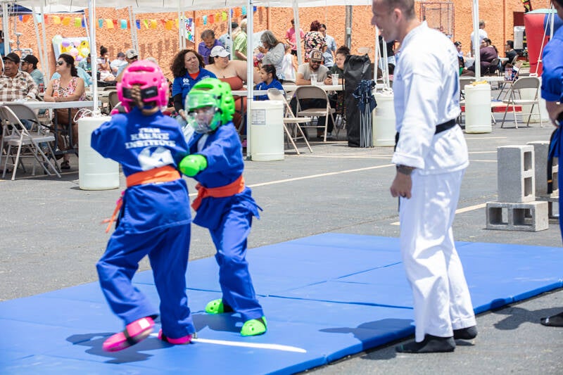ff-285-standard.jpg