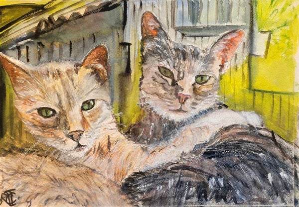 2- Dos gatos vicedenses