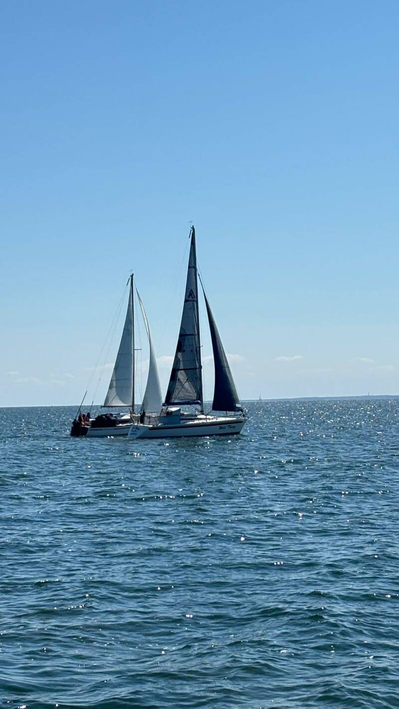 img-20260509-wa0011-standard.jpg