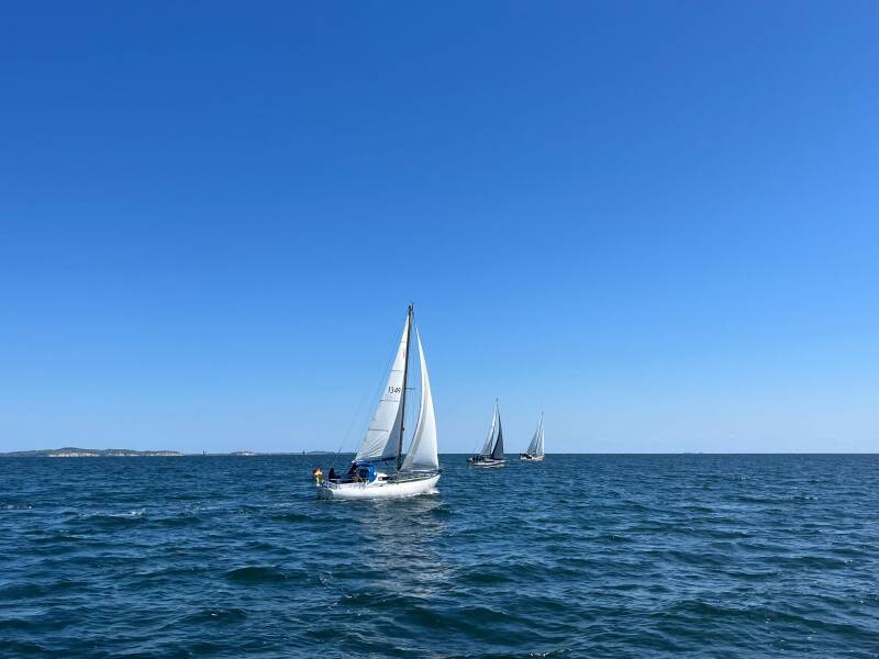 img-20260509-wa0035-standard.jpg