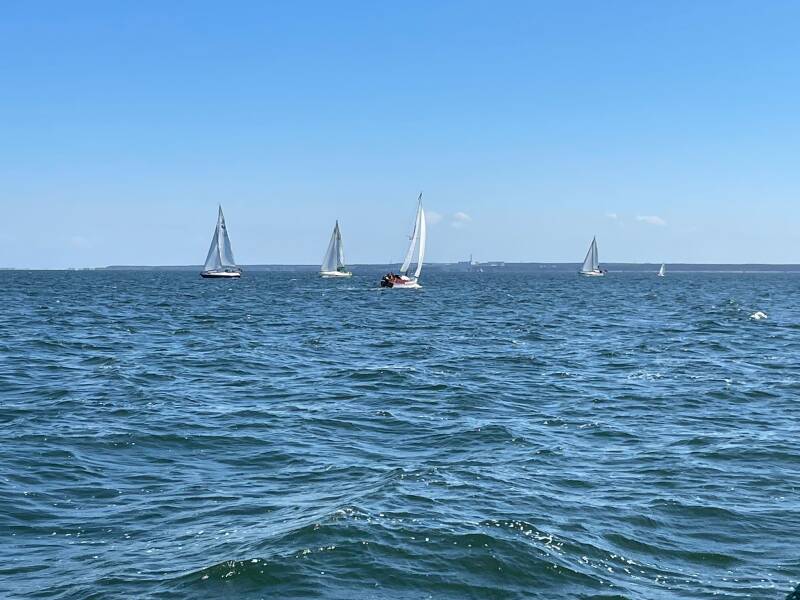 img-20260510-wa0005-standard.jpg