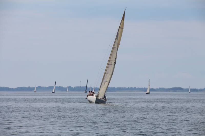 impr-05-standard.jpg