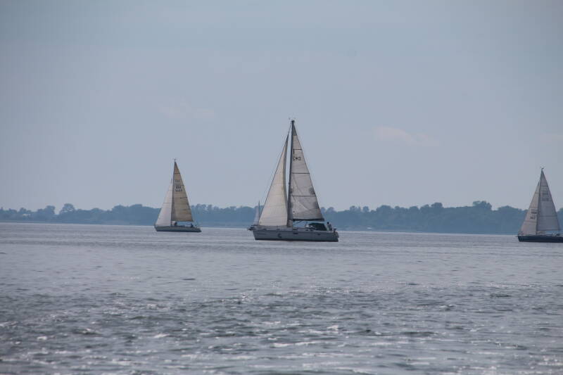 impr-07-standard.jpg