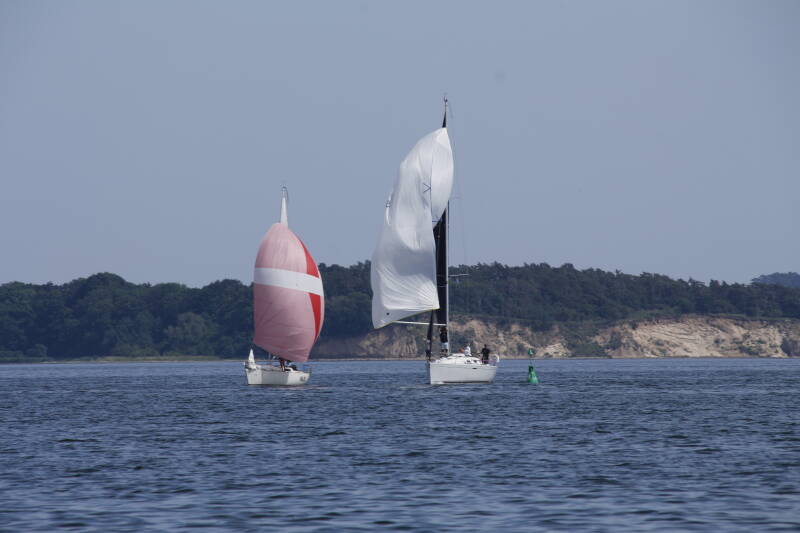 impr-08-standard.jpg