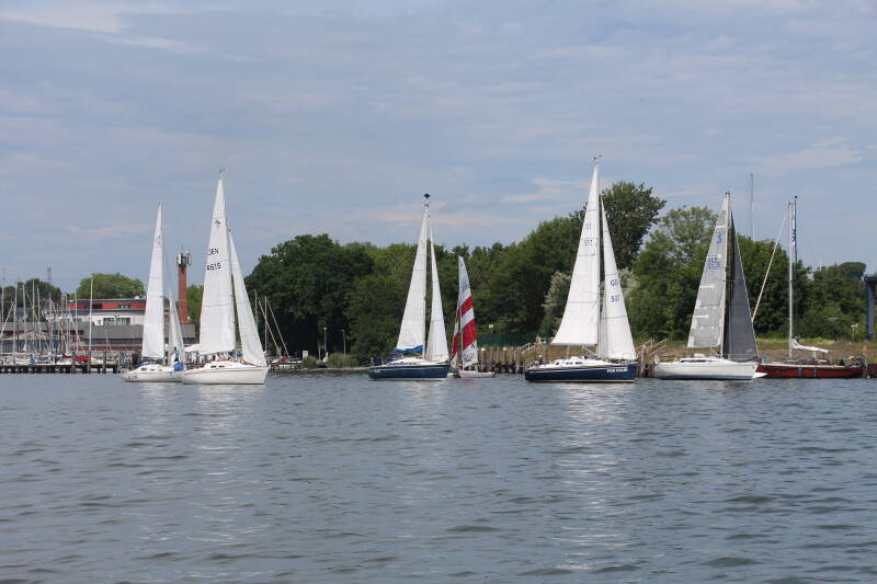 stgr2-05-standard.jpg