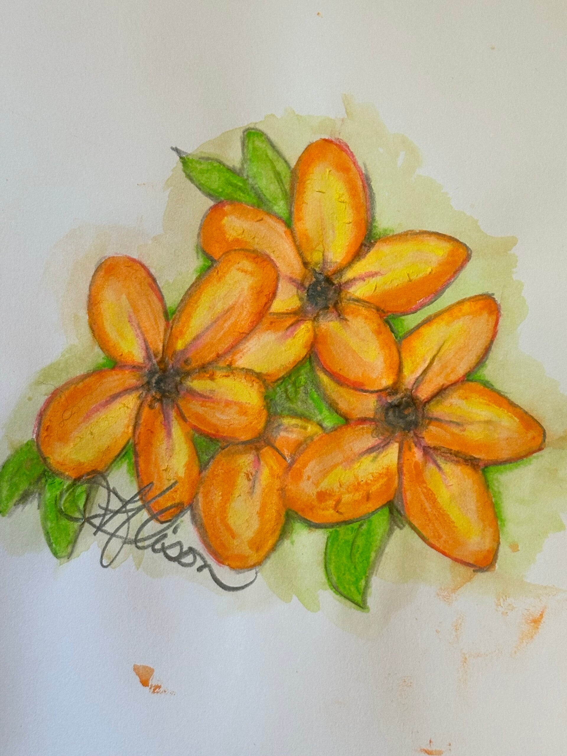 Original Water colour