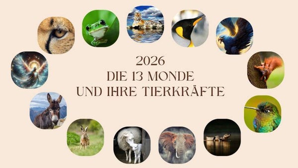 13 Monde Jahresbegleitung 2026