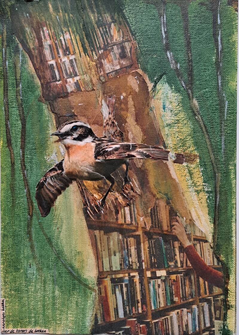 door de bomen de boeken