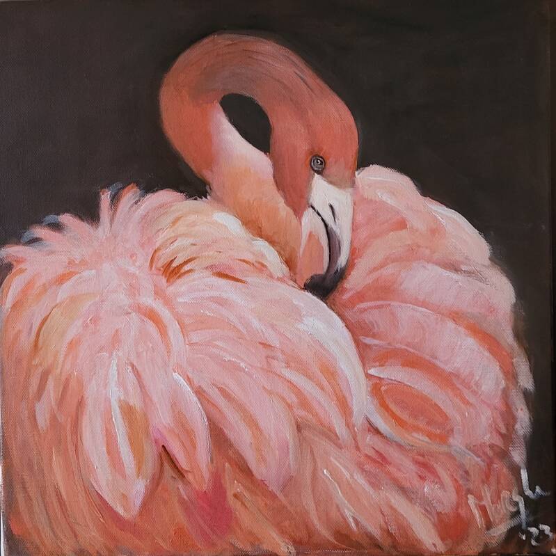 VERKOCHT flamingo-40x40-standard.jpg