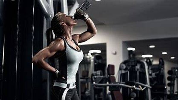 programme perte de poids