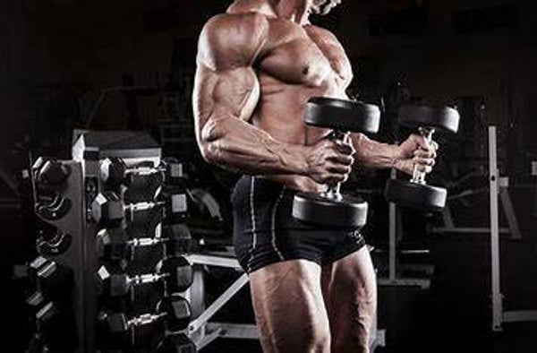 Programme prise de muscle