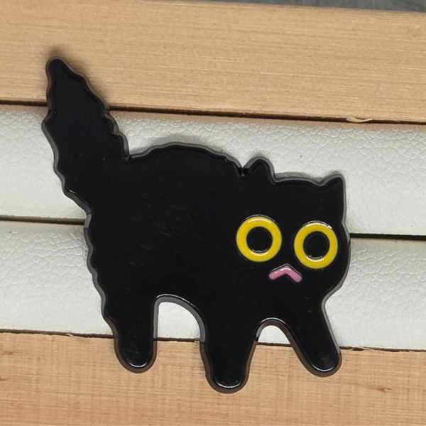 Pin's chat noir peureux