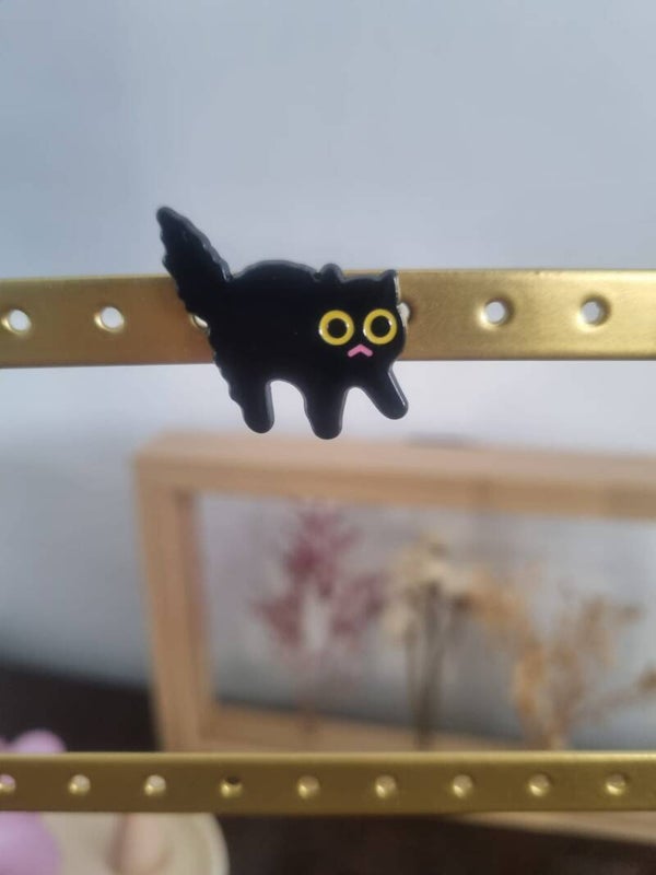 Pin's Chat