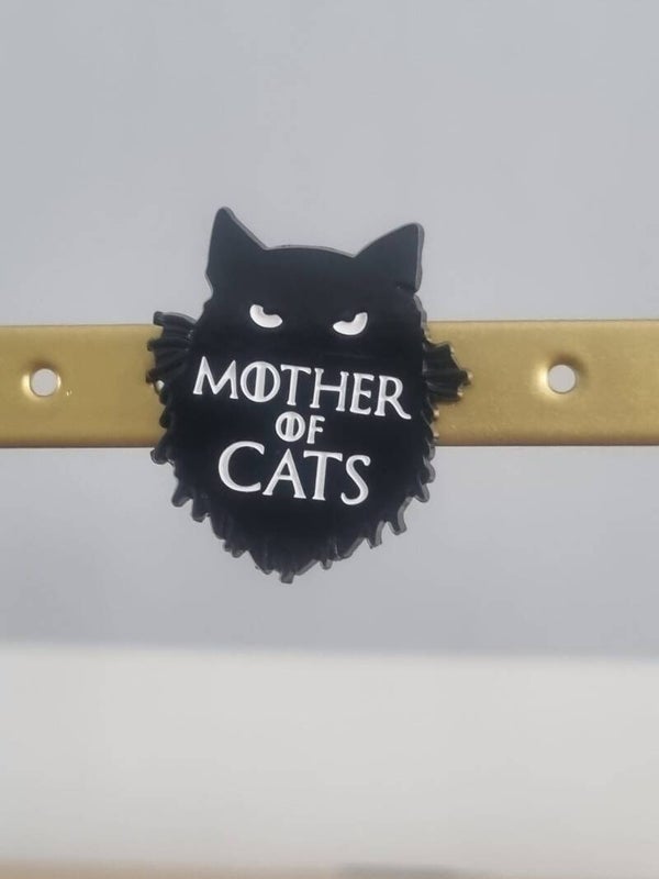 Pin's Chat