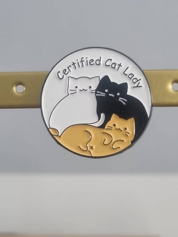 Pin's chat rond