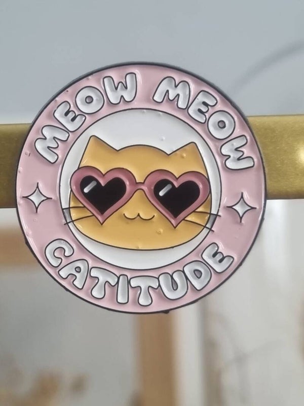 Pin's Chat Rond