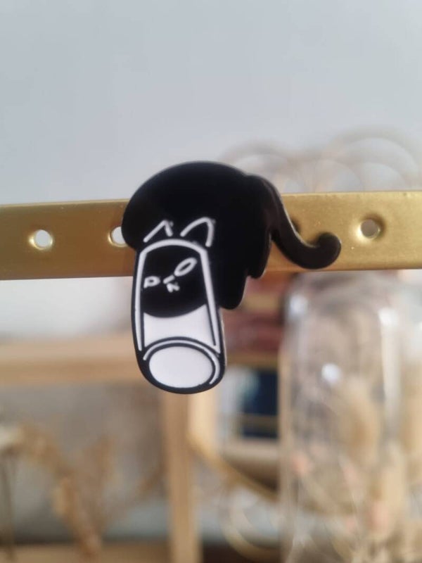 Pin's Chat Bocal