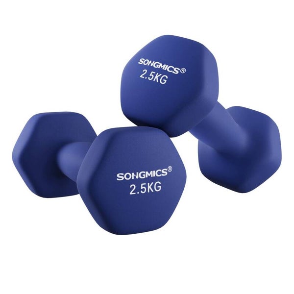 HANTLE ZESTAW 2SZT 2X2,5KG SZEŚCIOKĄTNE NEOPRENOWE DO TRENINGU FITNESS SONGMICS P173-13