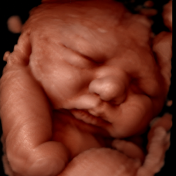 Cadeaubon - Before Birth Premium Journey