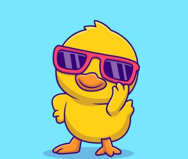 Ducks