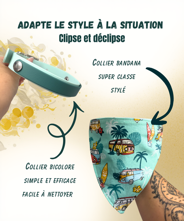Collier interchangeable