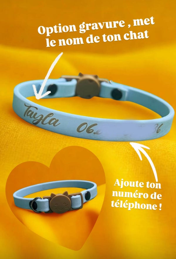 Collier pour chats